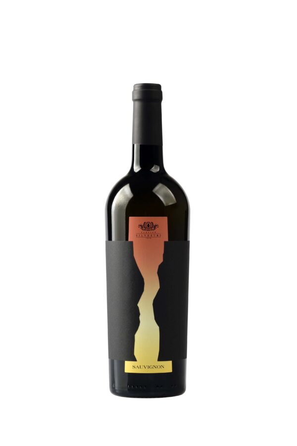 Sauvignon